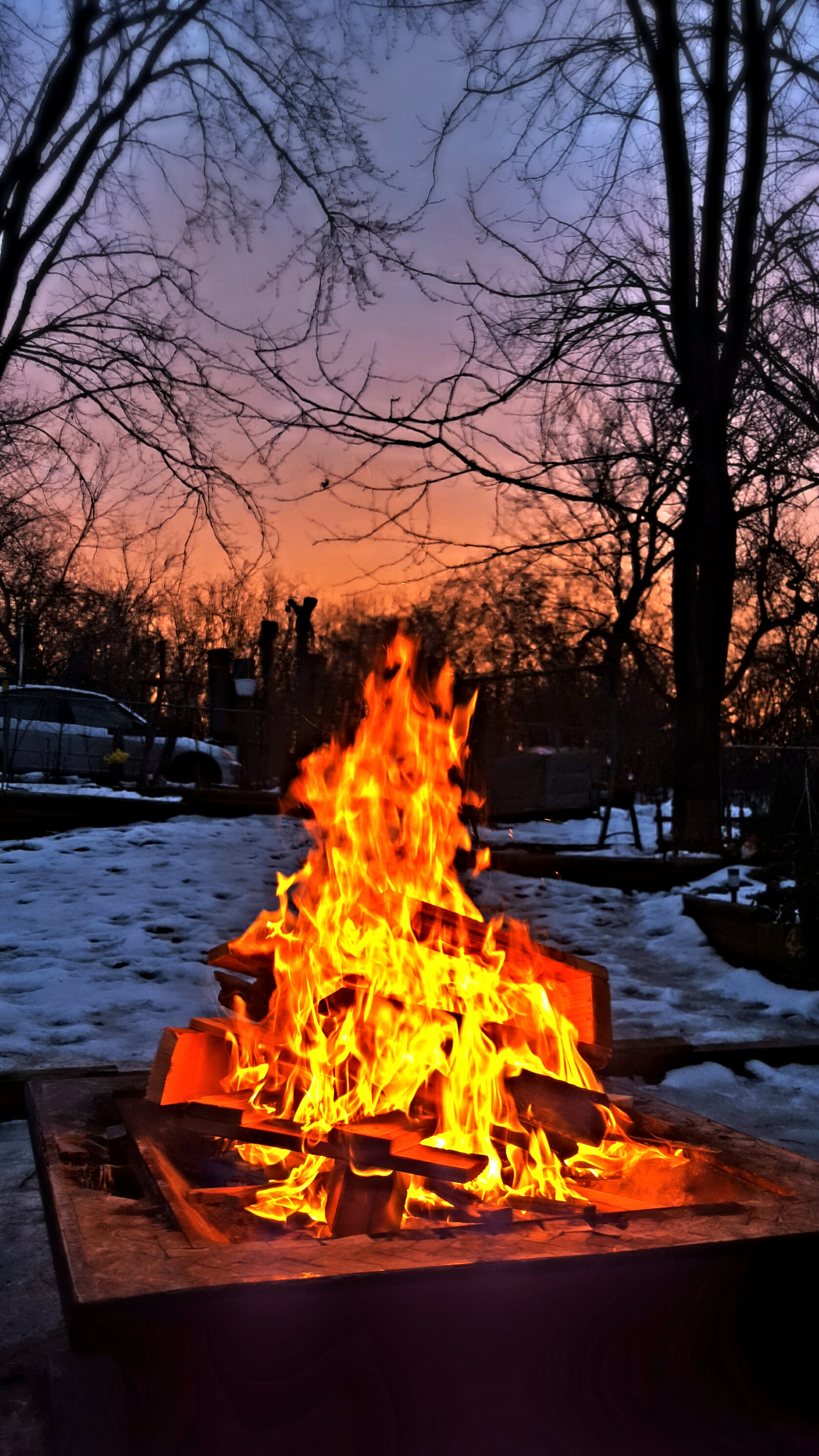 Saturday morning camp fire. campfire nature landscape...