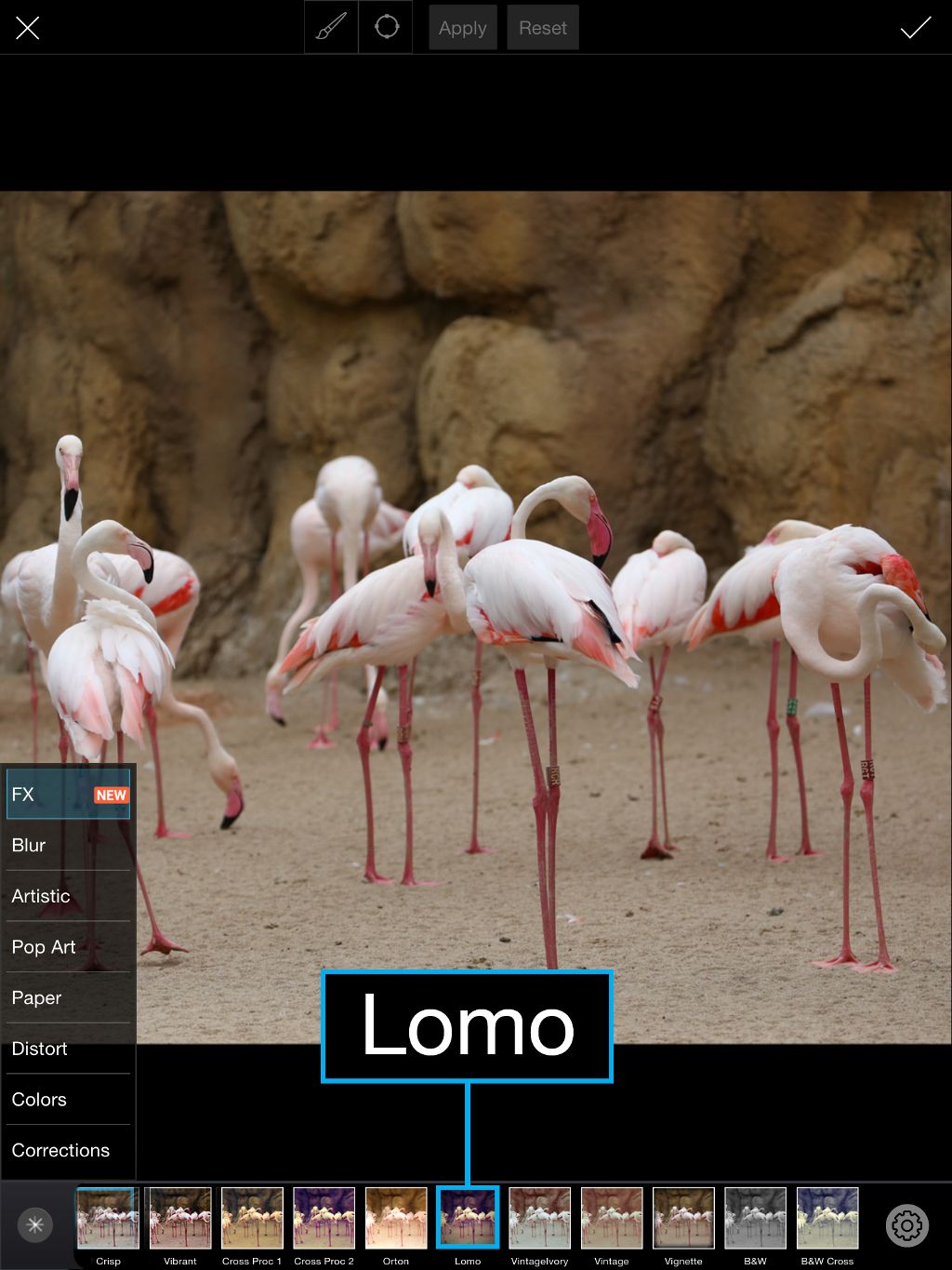lomo photo effect